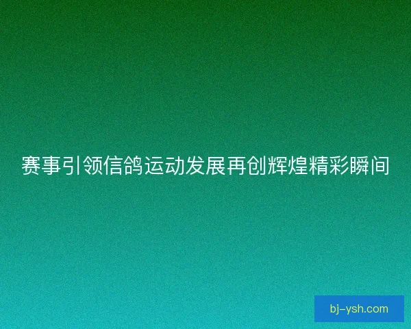 赛事引领信鸽运动发展再创辉煌精彩瞬间